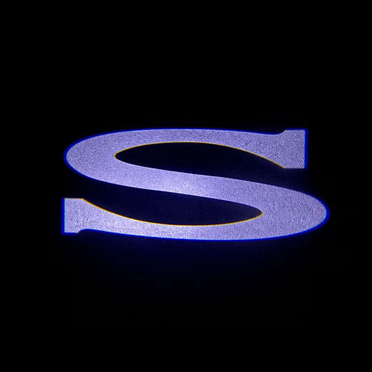 Dørlys med logo 2 stk for Model S